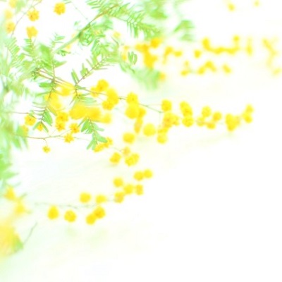 羽希先生の公式プロフィール画像