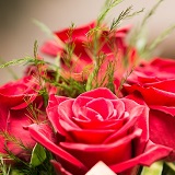 雪月花先生の公式プロフィール画像
