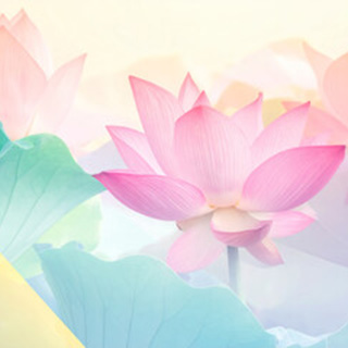 藍紫先生の公式プロフィール画像