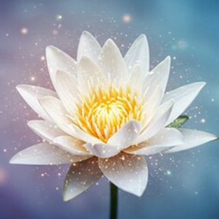月城 導先生の公式プロフィール画像