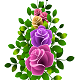 芽衣先生の公式プロフィール画像
