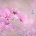 Eru先生の公式プロフィール画像