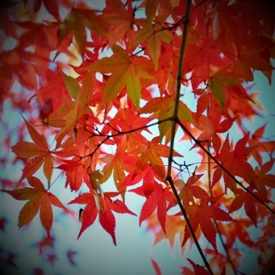 薫先生の公式プロフィール画像