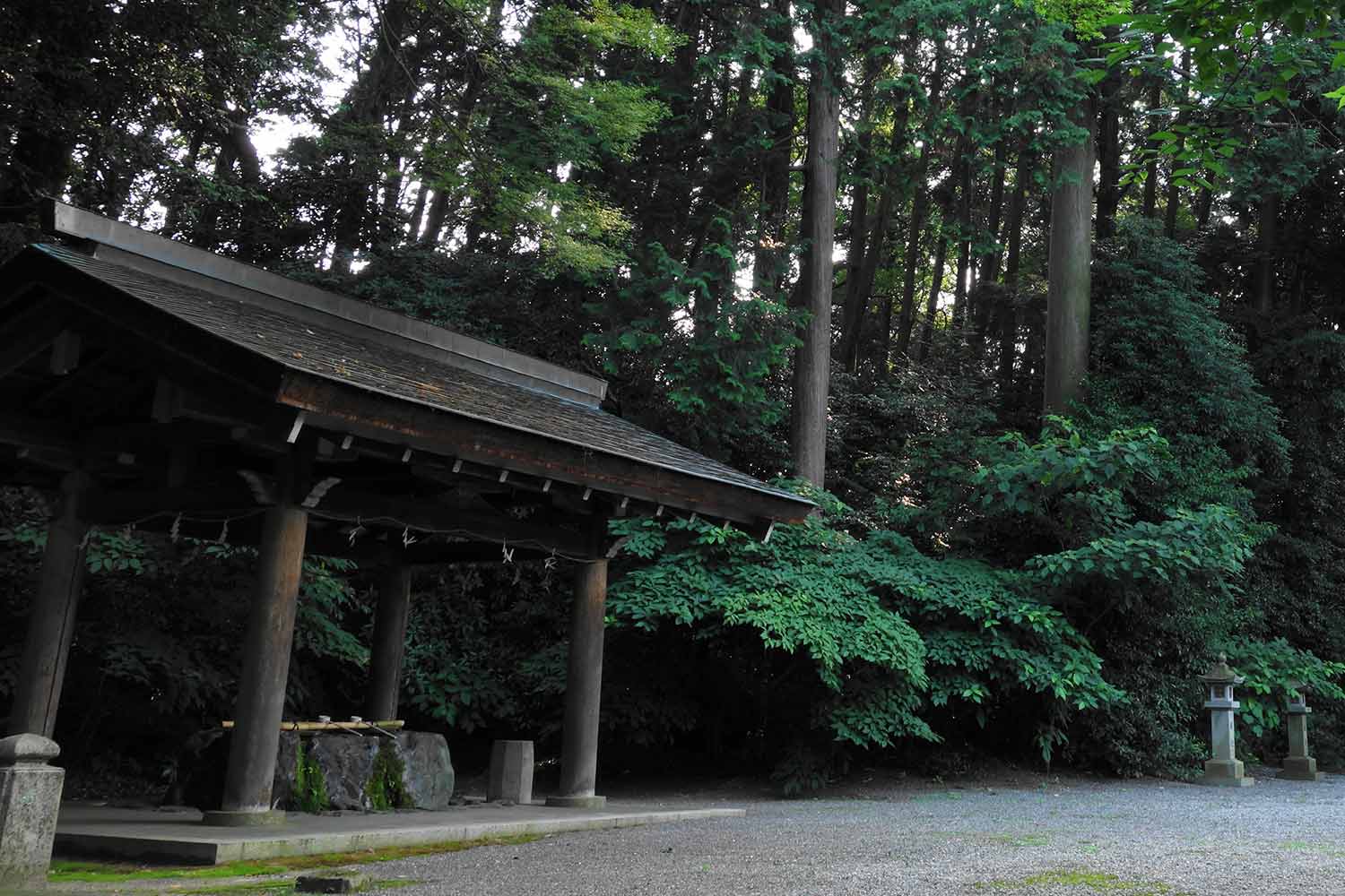 天山先生の公式プロフィール画像