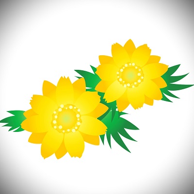 莉羽先生の公式プロフィール画像